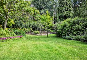 Optimiser l'expérience du jardin à Escherange